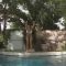 Summer fun in the pool